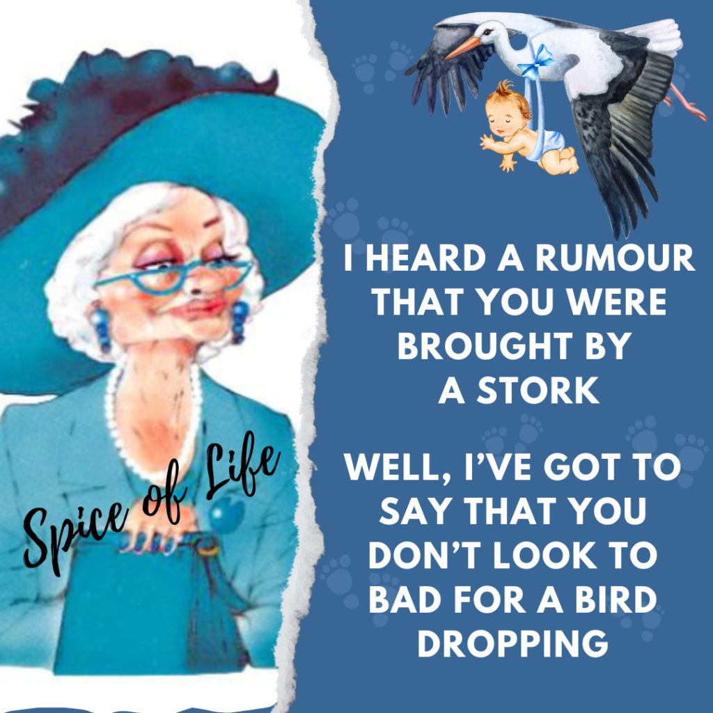 A Grandma Creates 20 Quotes About Getting Older and Not Caring Anymore 13 image 1279
