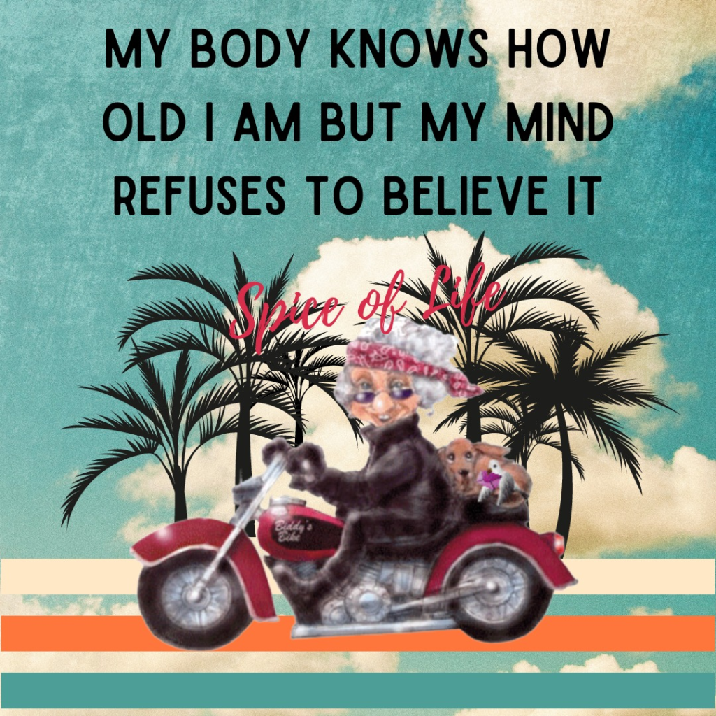 20 Funny Old Woman Quotes Every Grandma Will Secretly Love 21 image 1328