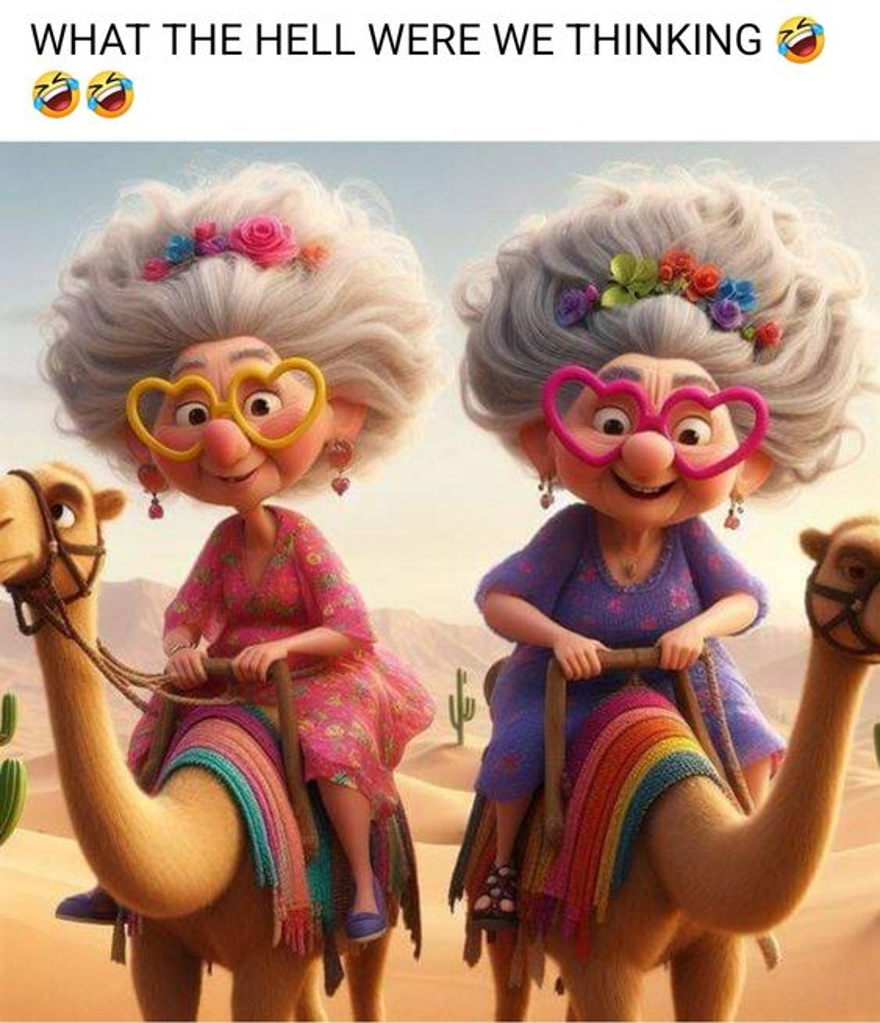 The Inspiring Journey of Women Growing Older Gracefully Is Shown in 20 Jokes 10 image 1360