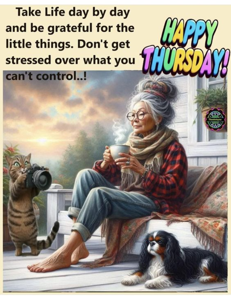 The Inspiring Journey of Women Growing Older Gracefully Is Shown in 20 Jokes 12 image 1365