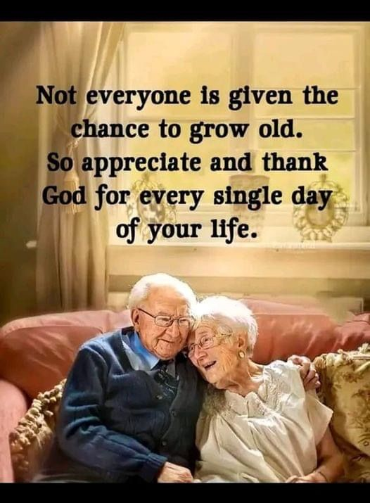 20 Heartwarming Lessons Every Grandmother Teaches Her Grandchildren 15 image 216