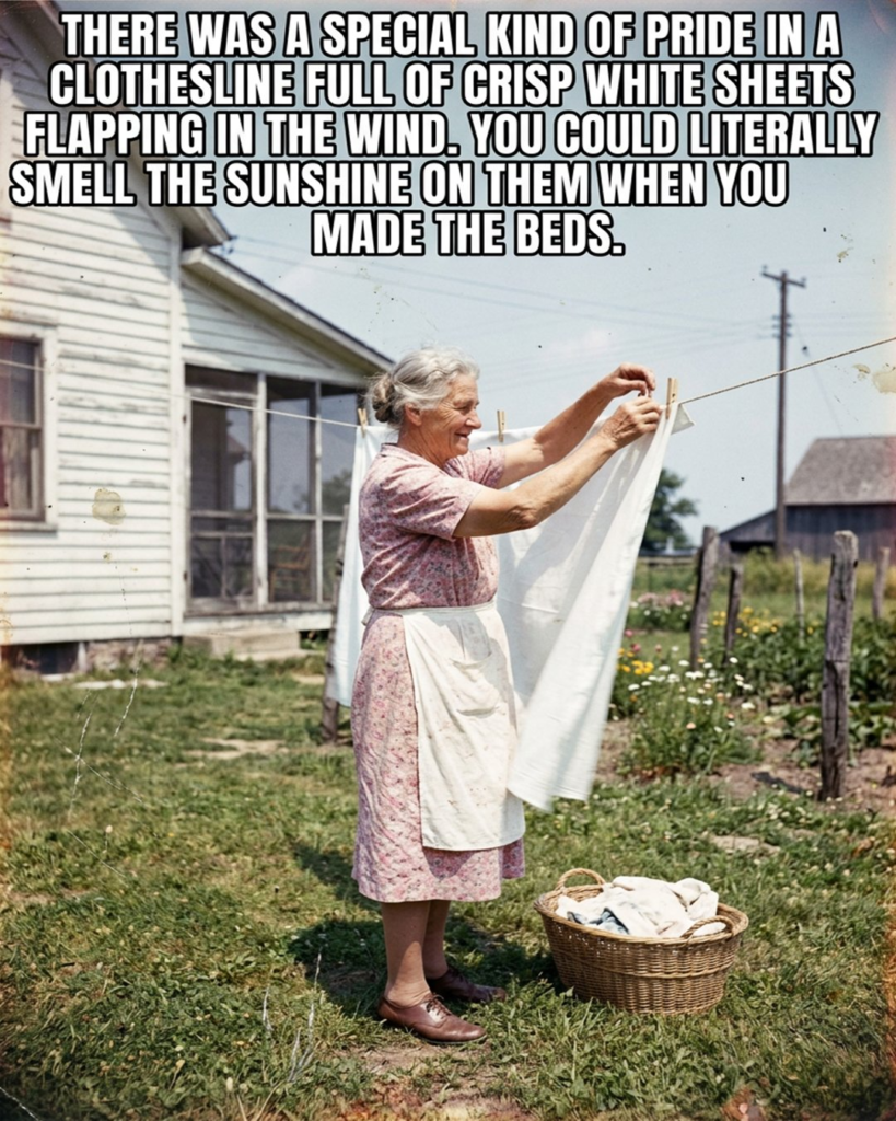 20 Comics About Old Age Ladies and Their Sweet Everyday Humor 2 image 269