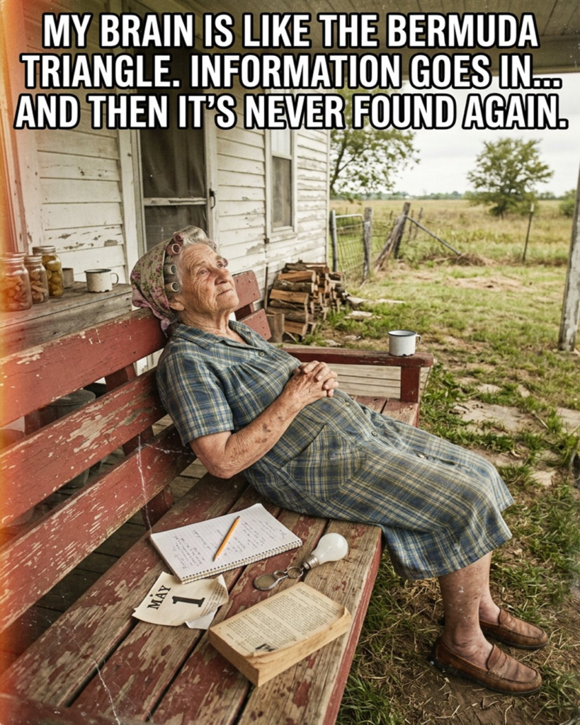 20 Comics About Old Age Ladies and Their Sweet Everyday Humor 17 image 284