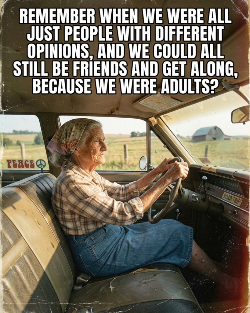 20 Comics About Old Age Ladies and Their Sweet Everyday Humor 18 image 285