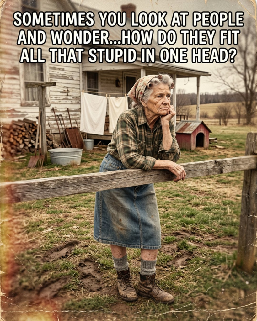 20 Comics About Old Age Ladies and Their Sweet Everyday Humor 21 image 288