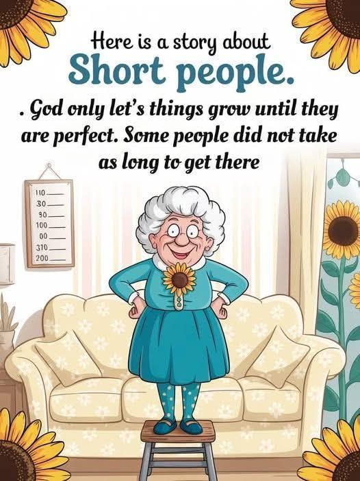 This Blog Shows Funny Moments That Only Grandmothers Understand (20 Jokes) 2 image 310