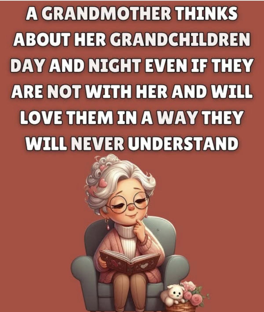 This Blog Shows Funny Moments That Only Grandmothers Understand (20 Jokes) 3 image 311