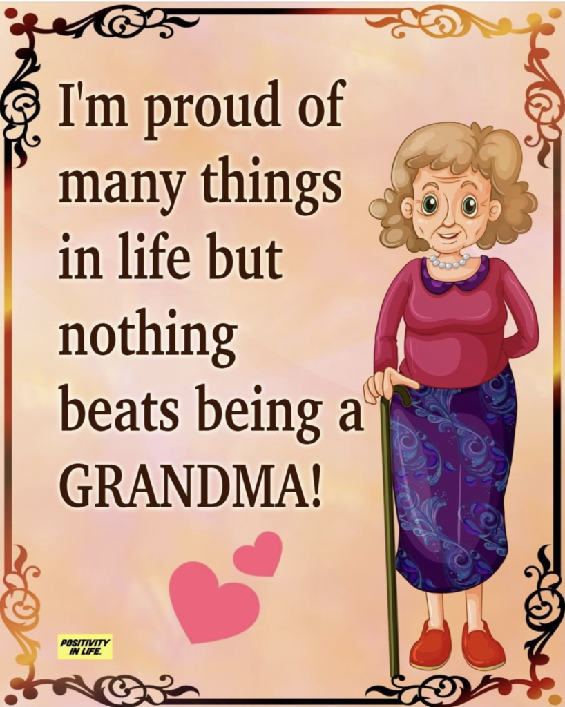 This Blog Shows Funny Moments That Only Grandmothers Understand (20 Jokes) 12 image 320
