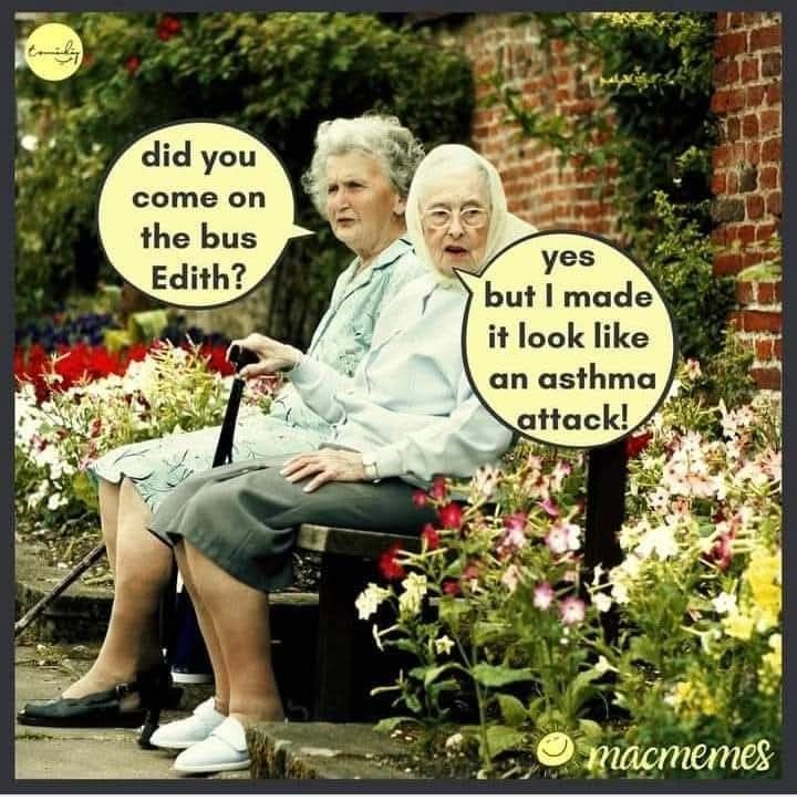 20 Jokes Presents How Senior Ladies Feel Confident at Old Age 7 image 506