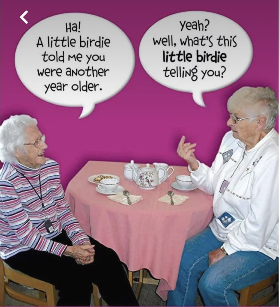 20 Jokes Presents How Senior Ladies Feel Confident at Old Age 12 image 511