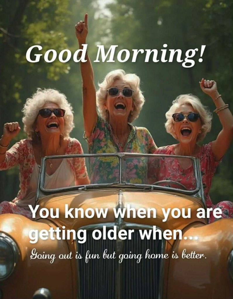 20 Jokes Presents How Senior Ladies Feel Confident at Old Age 21 image 521