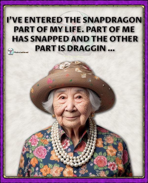 20 Funny And Relatable Senior Women Quotes About Life and Naps 15 image 760