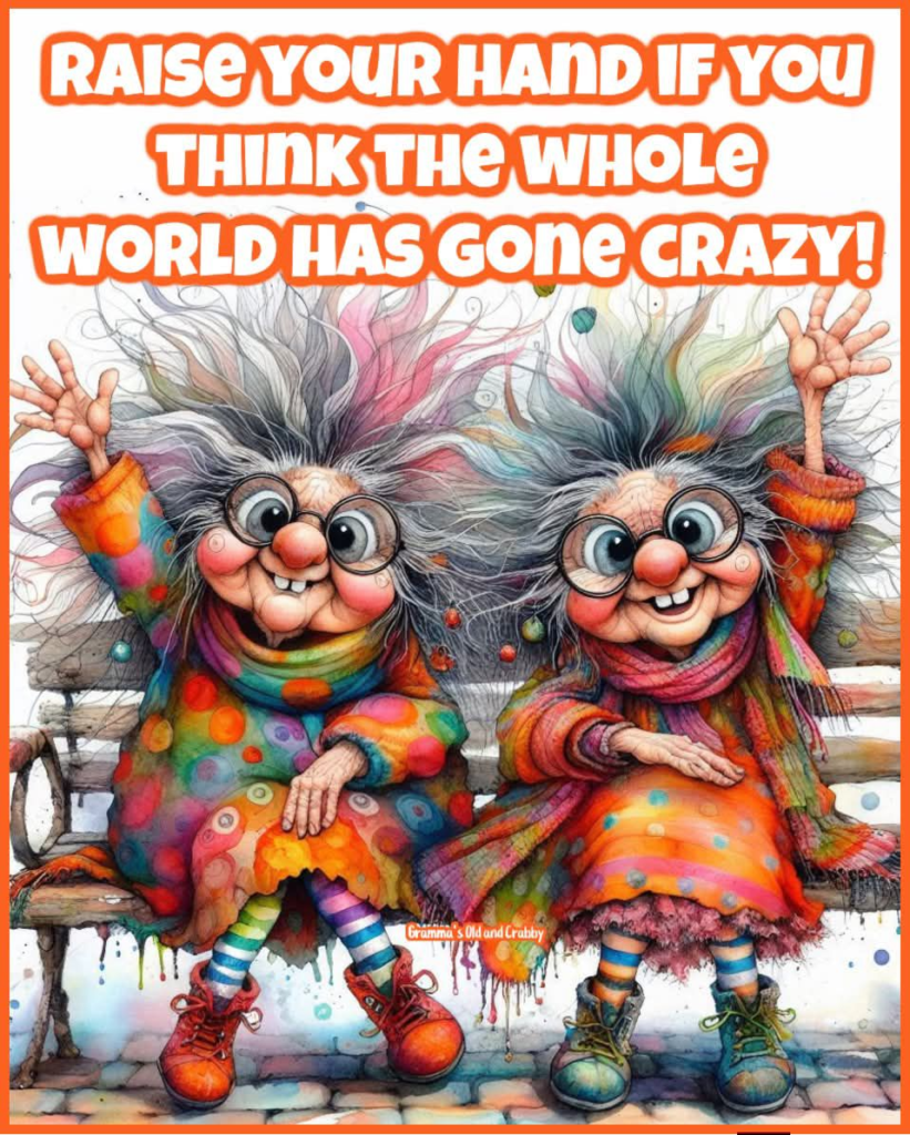 A Cute Grandma Create Funny Jokes About Older Women With Humor 14 image 844