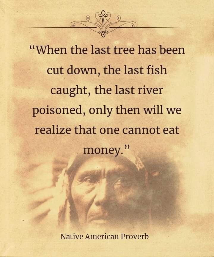 20 Images Explore Cherokee Food Meals With Deep Cultural Meaning 16 image 1031