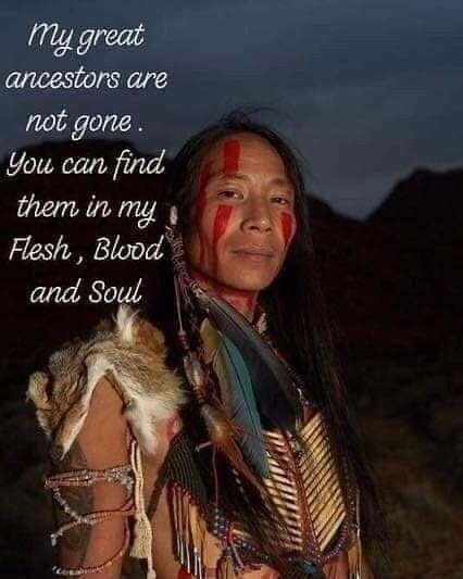 20 Images Shows the Strength of Ancestral Roots Behind The Cherokee People Success 2 image 1058