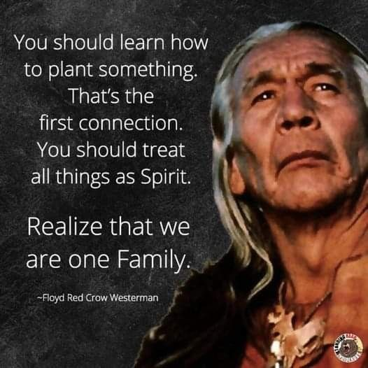 15+ Illustrations Summarizes The Deep Meaning Behind Cherokee Nation Identity 4 image 1080