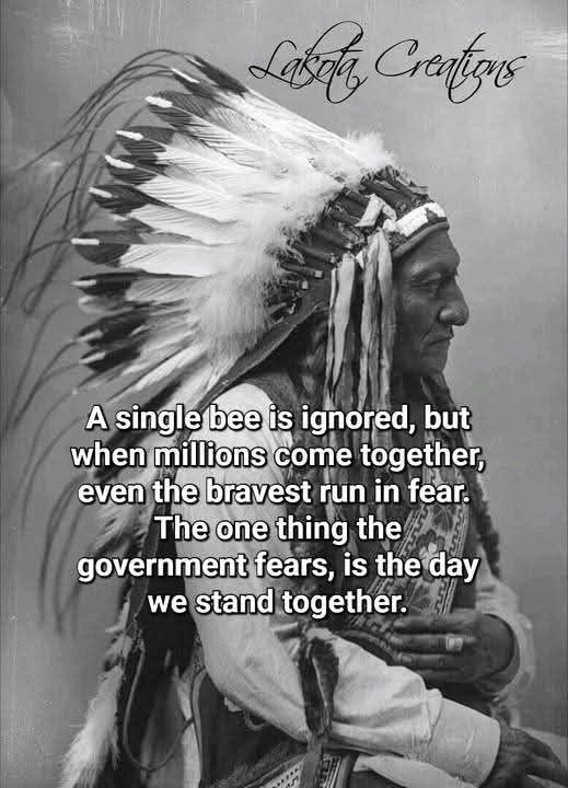 15+ Illustrations Summarizes The Deep Meaning Behind Cherokee Nation Identity 5 image 1081