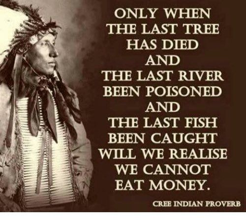 15+ Illustrations Summarizes The Deep Meaning Behind Cherokee Nation Identity 9 image 1085