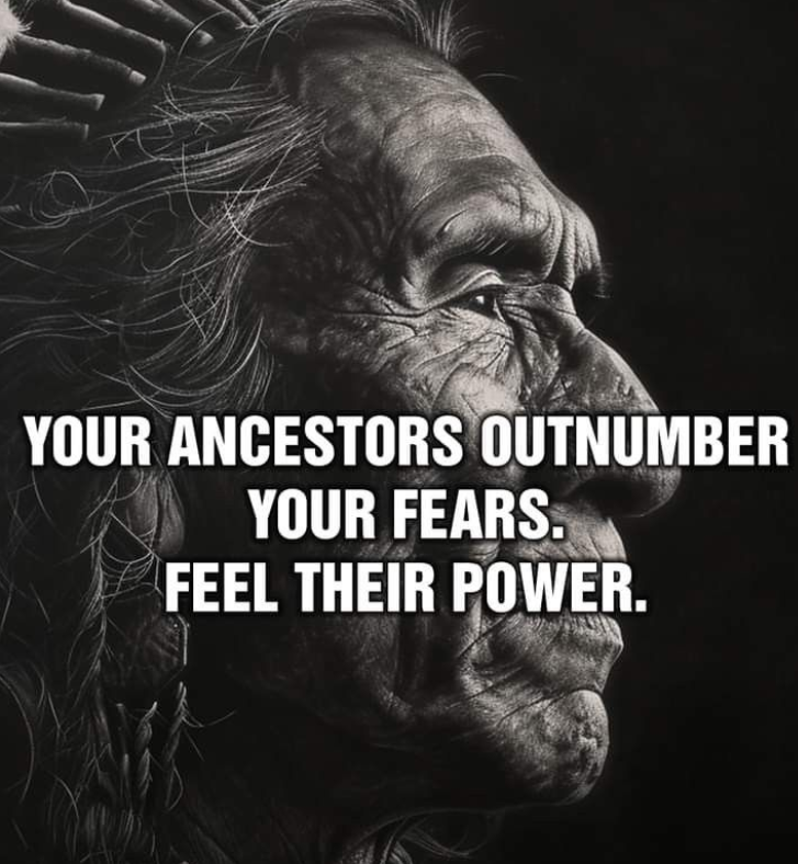 15+ Illustrations Summarizes The Deep Meaning Behind Cherokee Nation Identity 20 image 1098