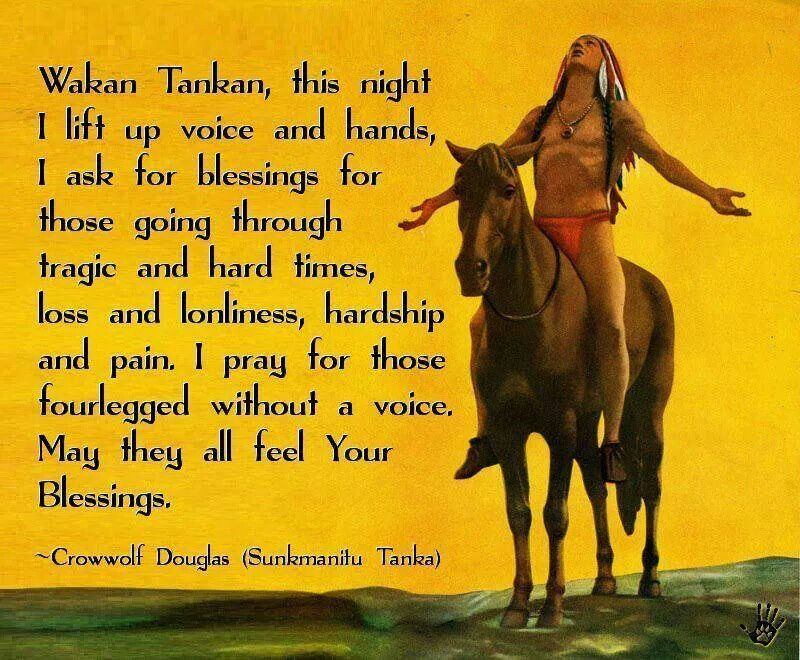 How the Cherokee Nation Overcame Hard Times is Presented Through 20 Sayings 2 image 1181
