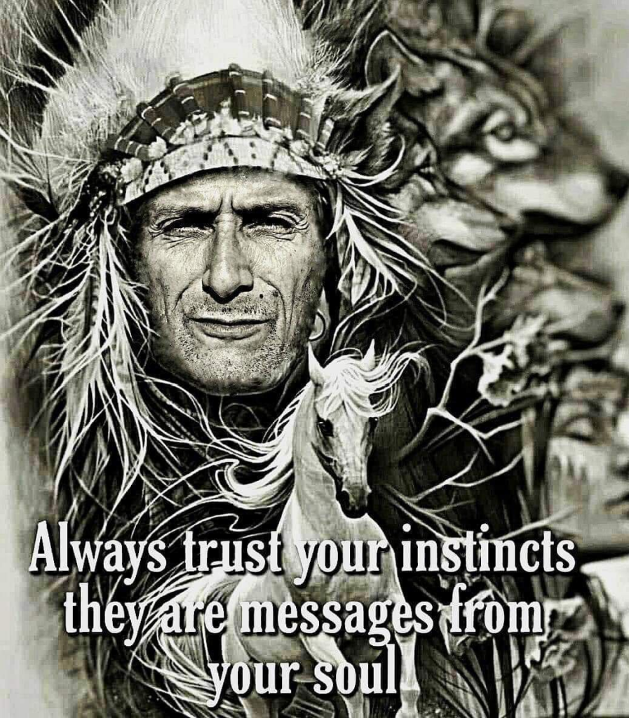 How the Cherokee Nation Overcame Hard Times is Presented Through 20 Sayings 6 image 1185