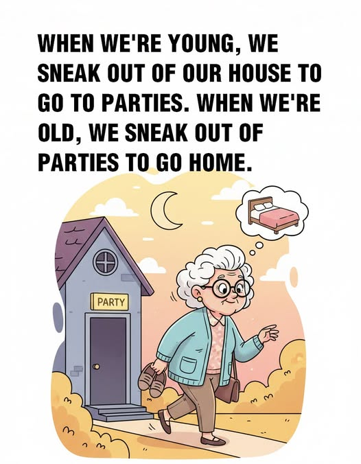 20 Jokes Shows How Elderly Ladies Turn Ordinary Homes Into Happy Places 15 image 119