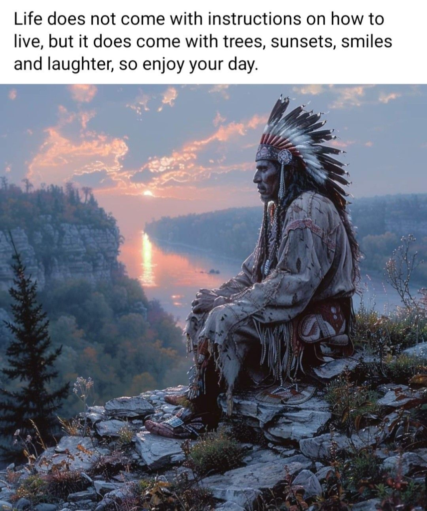 Here Are 20 Illustrations That Shows Cherokee Nation Laws and How They Protect the People 14 image 1276