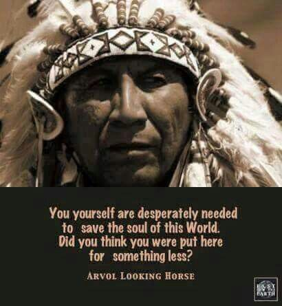 These 20 Sayings Presents The Cherokee Nation Public Programs and Their Benefits 6 image 1328