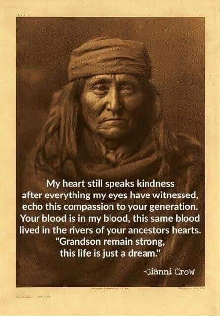 These 20 Sayings Presents The Cherokee Nation Public Programs and Their Benefits 7 image 1329