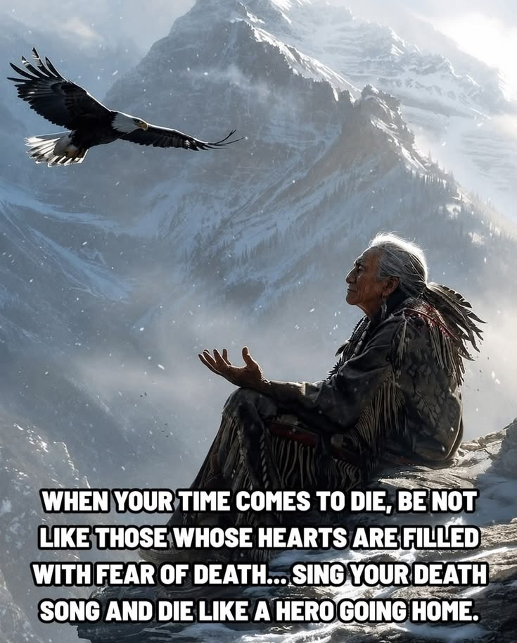 These 20 Sayings Presents The Cherokee Nation Public Programs and Their Benefits 12 image 1334