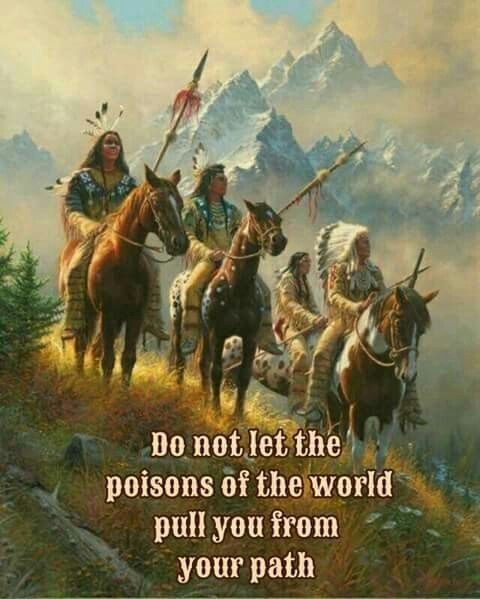 The Modern Cherokee Nation and Its Historical Roots are Summarized in 20 Images 10 image 1394