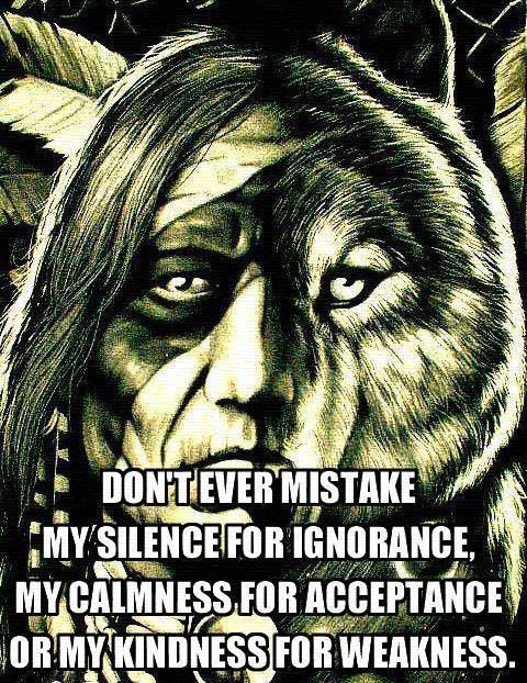 The Modern Cherokee Nation and Its Historical Roots are Summarized in 20 Images 13 image 1397