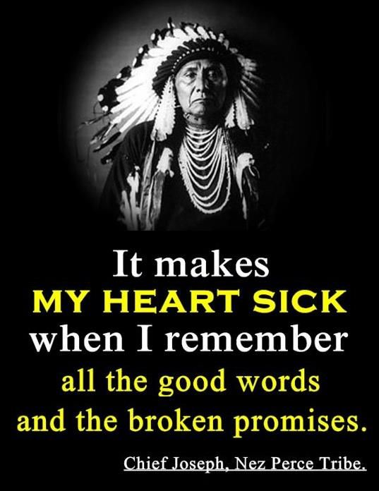 15+ Pictures Based On Little-Known Facts About the Cherokee Nation That May Surprise You 12 image 1437