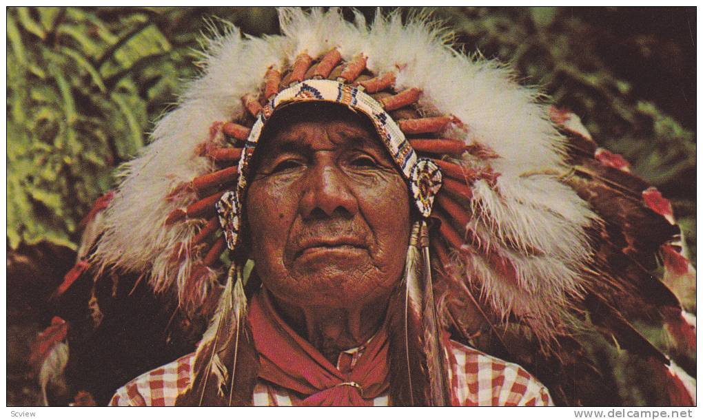 This Blog Shows The Cherokee Nation Situation Before European Contact 3 image 230