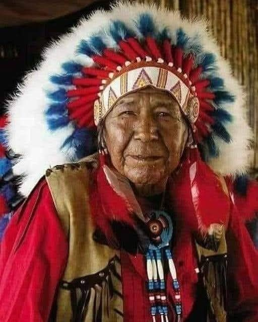 20 Images Shows The Trail of Tears and Its Painful Impact on the Cherokee People 9 image 277