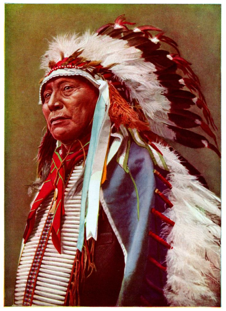 20 Images Shows The Trail of Tears and Its Painful Impact on the Cherokee People 11 image 279
