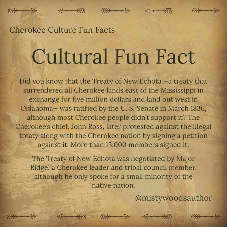 How the Cherokee Nation Became One of the Largest Native Nations (20 Images) 14 image 304