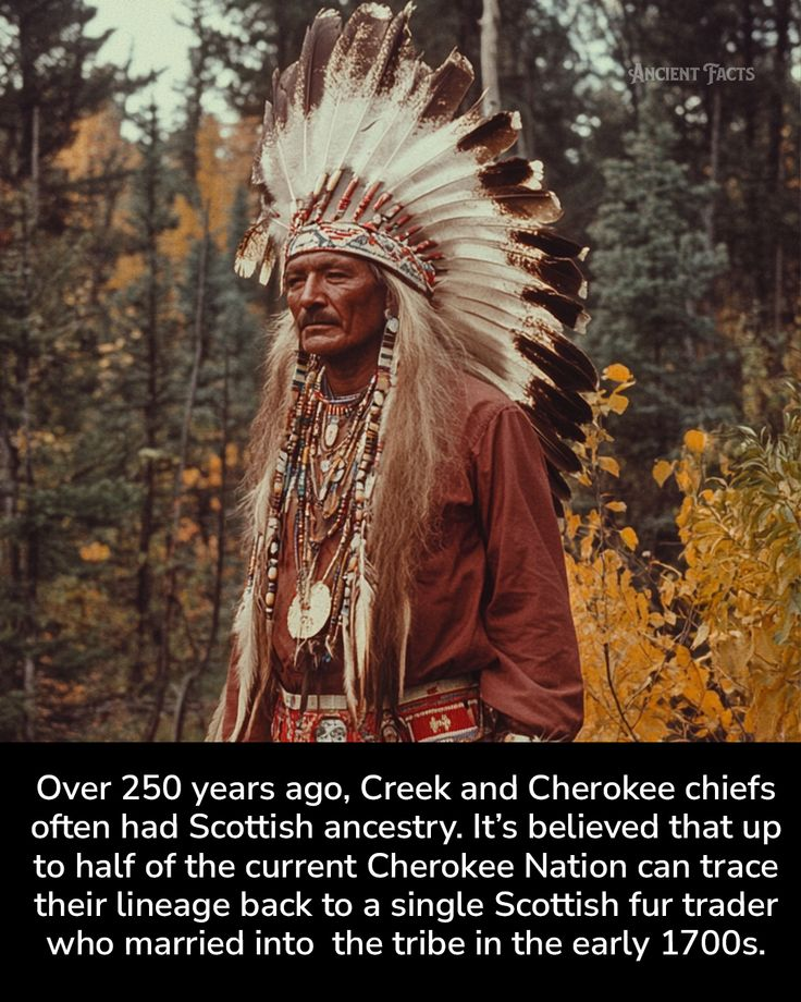 How the Cherokee Nation Became One of the Largest Native Nations (20 Images) 16 image 306