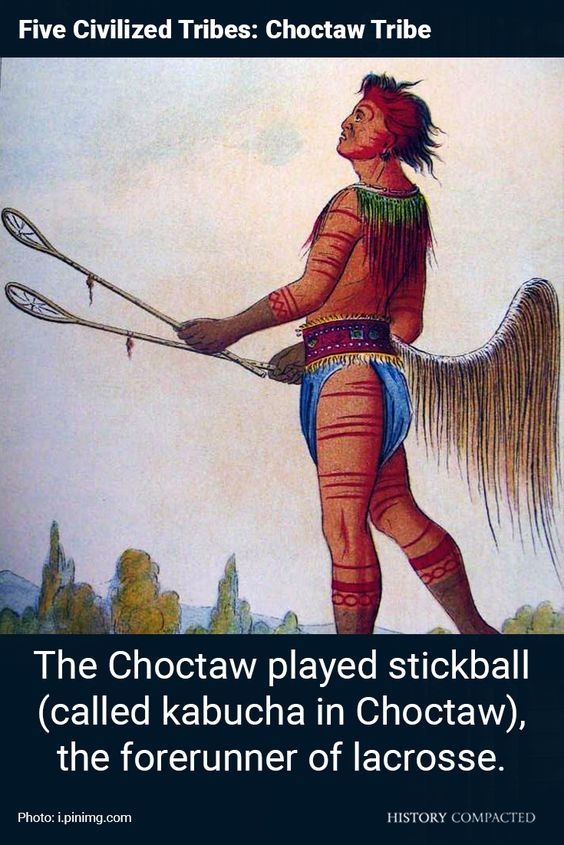 How the Cherokee Nation Became One of the Largest Native Nations (20 Images) 18 image 308