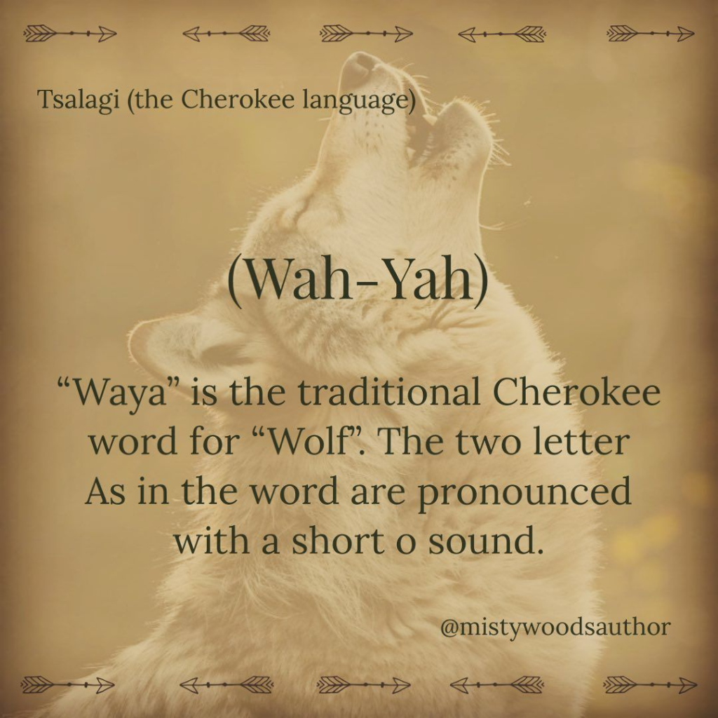 This Blog Shows History and the Continuing Legacy of the Cherokee Nation in America 16 image 614