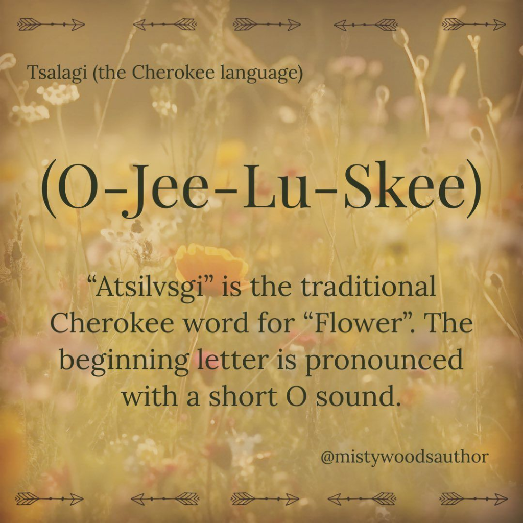 This Blog Shows History and the Continuing Legacy of the Cherokee Nation in America 17 image 615