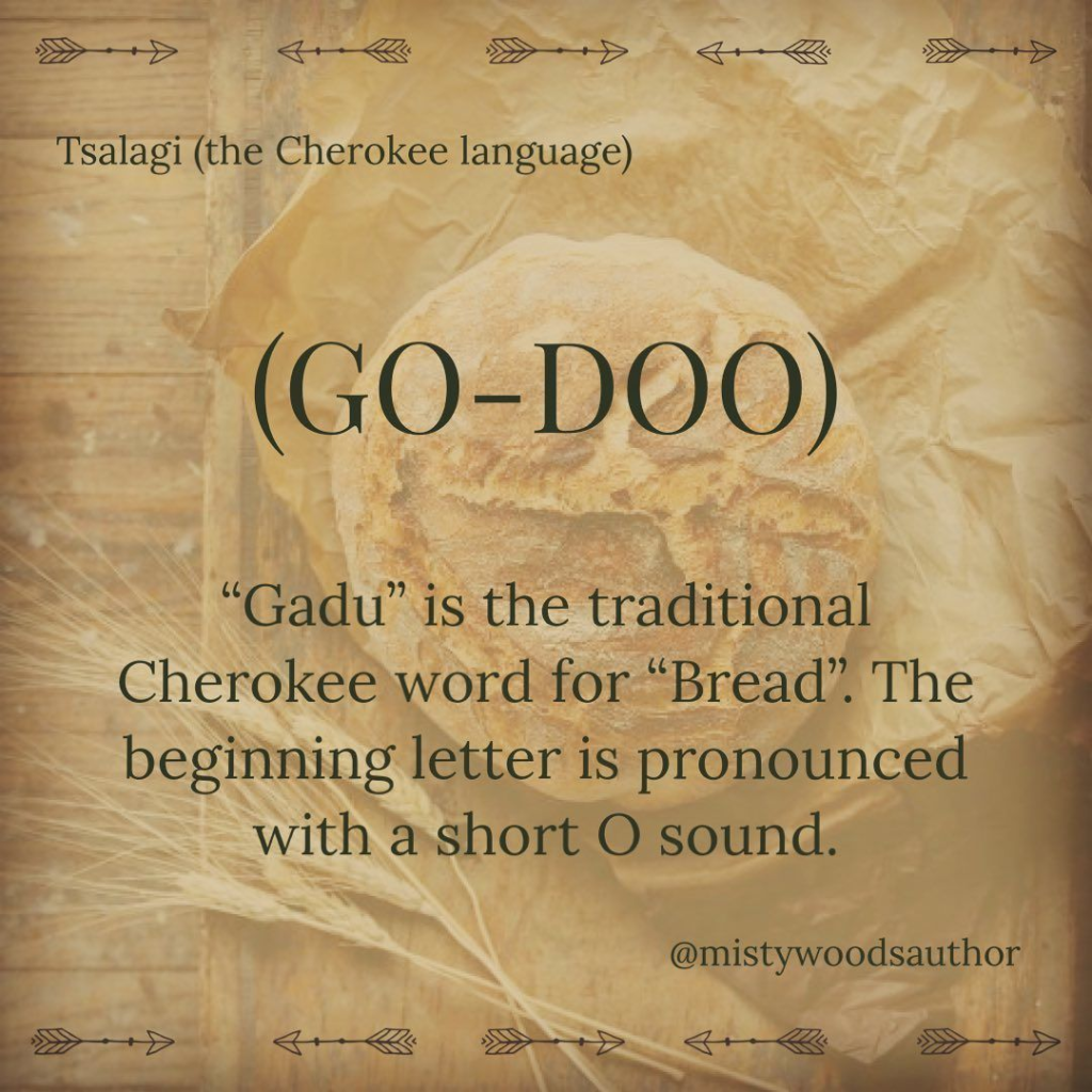 This Blog Shows History and the Continuing Legacy of the Cherokee Nation in America 18 image 616