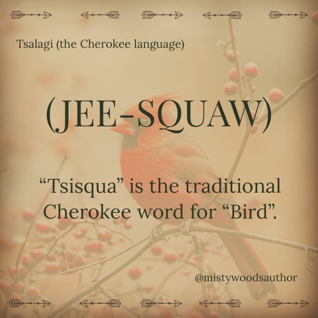 This Blog Shows History and the Continuing Legacy of the Cherokee Nation in America 19 image 617