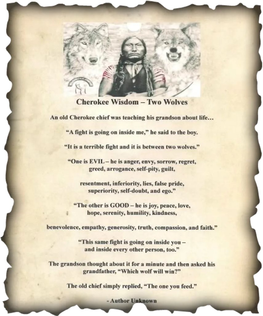 Here Are 20 Sayings That shows the Gentle Teachings from Cherokee Elders 3 image 621