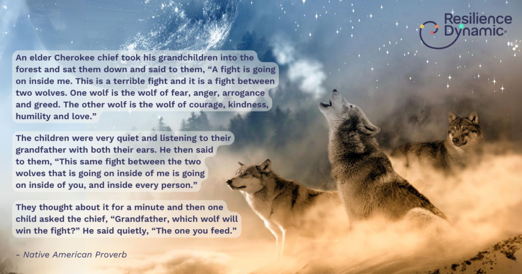 Here Are 20 Sayings That shows the Gentle Teachings from Cherokee Elders 5 image 623