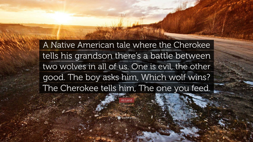 Here Are 20 Sayings That shows the Gentle Teachings from Cherokee Elders 6 image 626