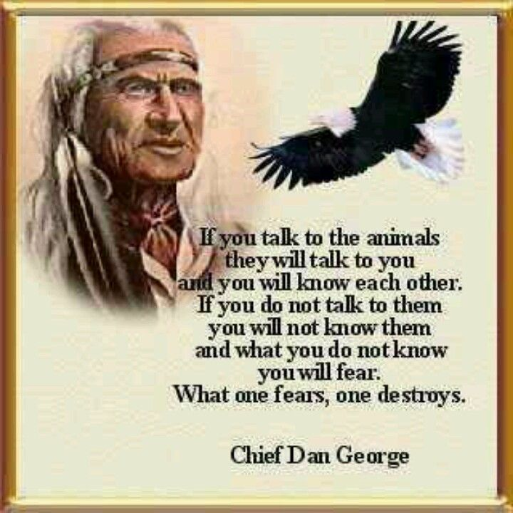 Here Are 20 Sayings That shows the Gentle Teachings from Cherokee Elders 9 image 627