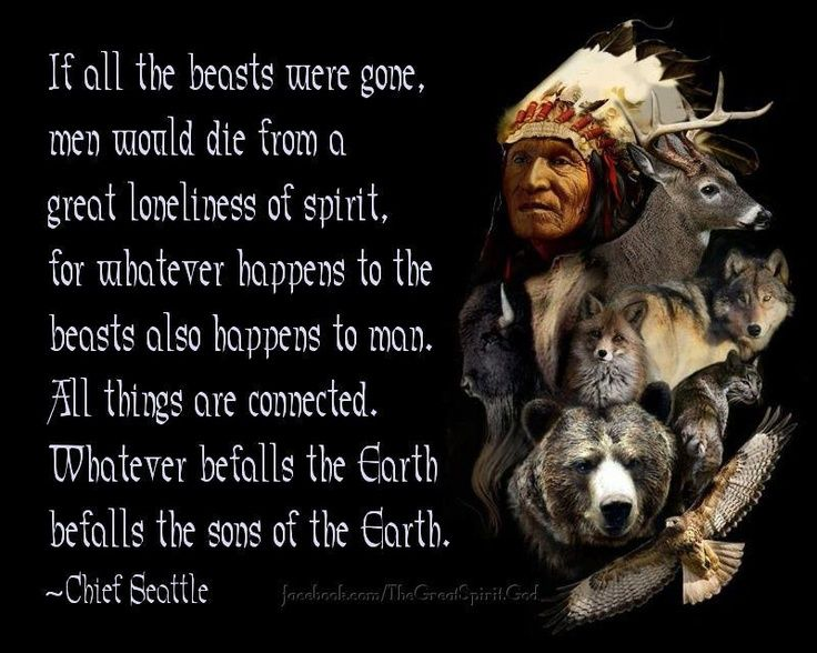 Here Are 20 Sayings That shows the Gentle Teachings from Cherokee Elders 12 image 631