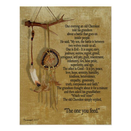 Here Are 20 Sayings That shows the Gentle Teachings from Cherokee Elders 16 image 636