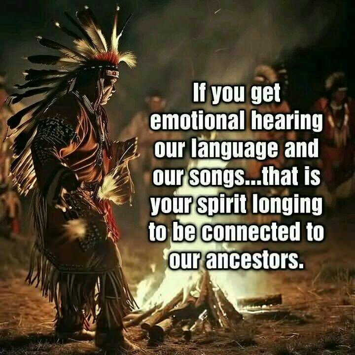 20 Images About Learning Love and Respect from Cherokee Traditions 15 image 654